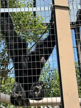 名古屋市東山動植物園に投稿された画像（2025/5/11）