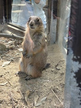 名古屋市東山動植物園に投稿された画像（2025/5/11）