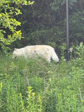 名古屋市東山動植物園に投稿された画像（2025/5/11）