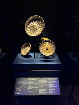 ACN ラムセス大王展 ファラオたちの黄金に投稿された画像（2025/5/11）