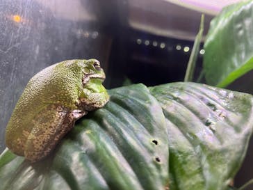 あわしまマリンパークに投稿された画像（2025/5/11）