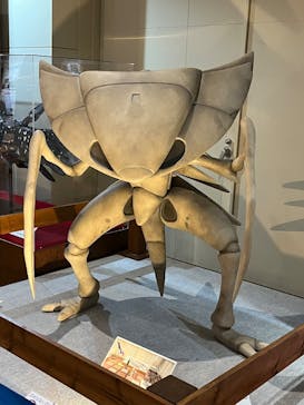 福井県立恐竜博物館に投稿された画像（2025/5/11）