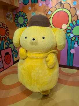 サンリオピューロランドに投稿された画像（2025/5/11）