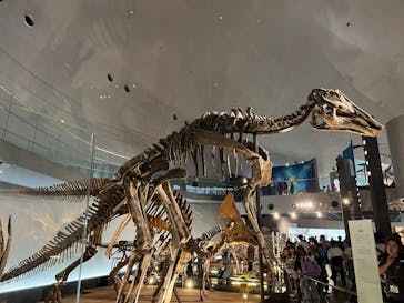 福井県立恐竜博物館に投稿された画像（2025/5/11）