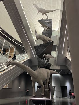 福井県立恐竜博物館に投稿された画像（2025/5/11）