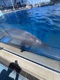 越前松島水族館に投稿された画像（2025/5/11）