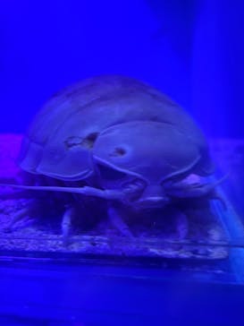 越前松島水族館に投稿された画像（2025/5/11）