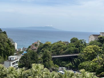 熱川バナナワニ園に投稿された画像（2025/5/11）