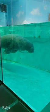 南知多ビーチランド＆南知多おもちゃ王国に投稿された画像（2025/5/11）