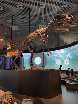 国立科学博物館に投稿された画像（2025/5/11）