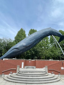 国立科学博物館に投稿された画像（2025/5/11）