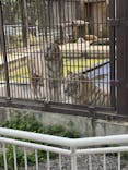 宇都宮動物園に投稿された画像（2025/5/11）