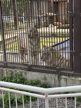 宇都宮動物園に投稿された画像（2025/5/11）