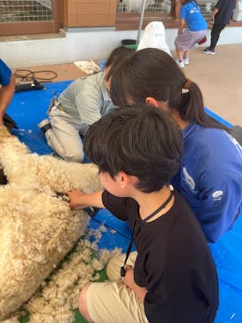 あらかわ遊園に投稿された画像（2025/5/11）