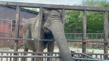 東北サファリパークに投稿された画像（2025/5/11）