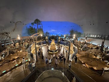 福井県立恐竜博物館に投稿された画像（2025/5/11）