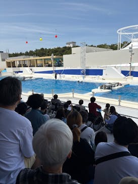 鴨川シーワールドに投稿された画像（2025/5/11）