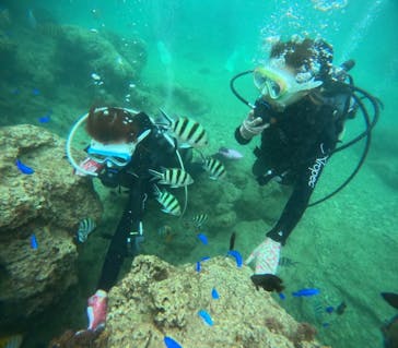 青の洞窟専門店　沖縄ダイビングショップ和に投稿された画像（2025/5/11）