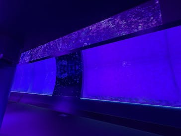 アクアワールド茨城県大洗水族館に投稿された画像（2025/5/11）