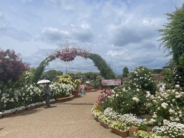 ひらかたパークに投稿された画像（2025/5/11）