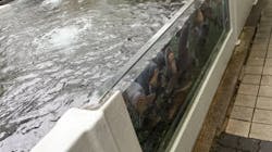 世界淡水魚園水族館　アクア・トトぎふに投稿された画像（2025/5/11）