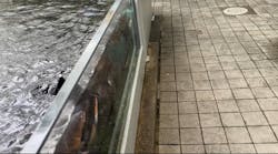 世界淡水魚園水族館　アクア・トトぎふに投稿された画像（2025/5/11）