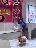 いぬカフェRio 池袋店に投稿された画像（2025/5/11）