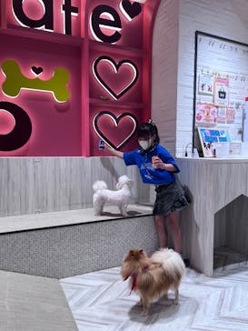 いぬカフェRio 池袋店に投稿された画像（2025/5/11）