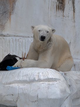 天王寺動物園に投稿された画像（2025/5/11）