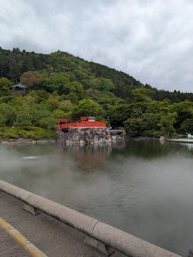 勝尾寺に投稿された画像（2025/5/11）