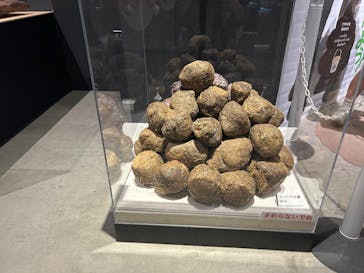  うんち展　-No UNCHI, No LIFE-に投稿された画像（2025/5/11）