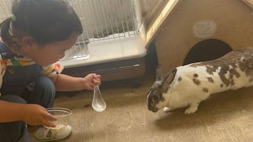 成田ゆめ牧場に投稿された画像（2025/5/11）