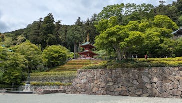 勝尾寺に投稿された画像（2025/5/11）