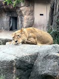 天王寺動物園に投稿された画像（2025/5/11）