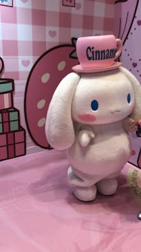 サンリオピューロランドに投稿された画像（2025/5/11）