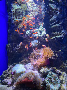 仙台うみの杜水族館に投稿された画像（2025/5/11）