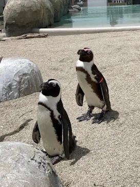 仙台うみの杜水族館に投稿された画像（2025/5/11）