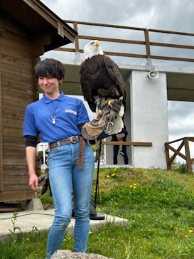 那須どうぶつ王国に投稿された画像（2025/5/11）
