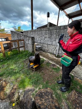 那須どうぶつ王国に投稿された画像（2025/5/11）