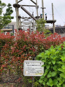 天王寺動物園に投稿された画像（2025/5/11）