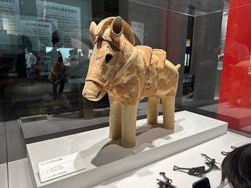 特別展「古代DNA－日本人のきた道」（国立科学博物館）に投稿された画像（2025/5/11）