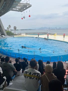 マリンワールド海の中道に投稿された画像（2025/5/11）