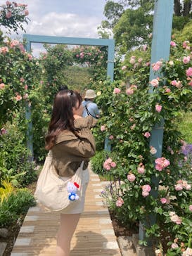 ACAO FORESTに投稿された画像（2025/5/11）