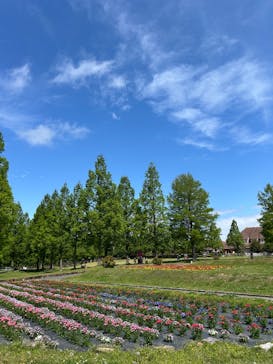滋賀農業公園ブルーメの丘に投稿された画像（2025/5/11）