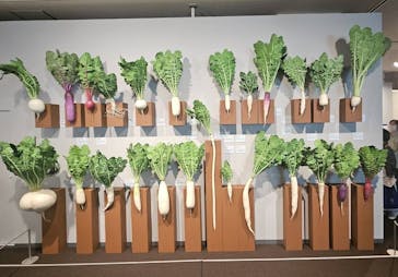 特別展「和食 ～日本の自然、人々の知恵～」に投稿された画像（2025/5/11）