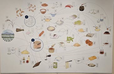 特別展「和食 ～日本の自然、人々の知恵～」に投稿された画像（2025/5/11）