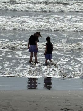 新江ノ島水族館に投稿された画像（2025/5/11）