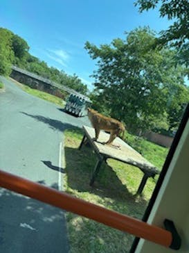 東京動物園協会_多摩動物公園に投稿された画像（2025/5/11）
