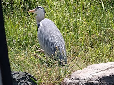 名古屋市東山動植物園に投稿された画像（2025/5/11）