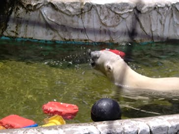 名古屋市東山動植物園に投稿された画像（2025/5/11）